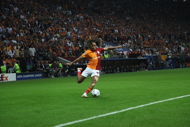 个情感账户 个情感账户