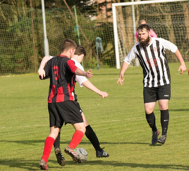 这一决定不 这一决定不