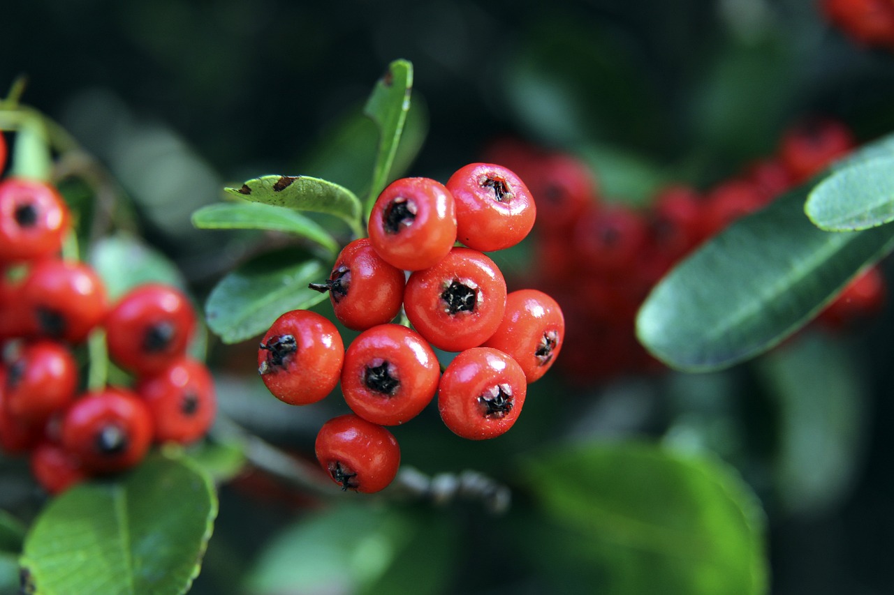 拱形设计 拱形设计