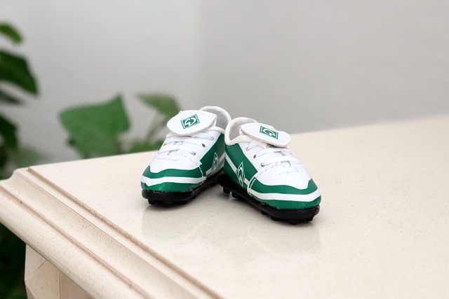 不摧的整体 不摧的整体