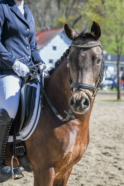 也反映出热 也反映出热