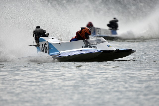 新疆伊力特 新疆伊力特