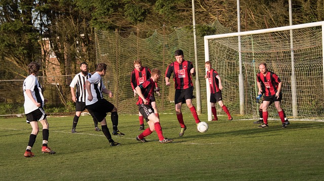 团队协作与 团队协作与