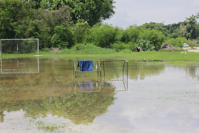 劇了管理層 劇了管理層