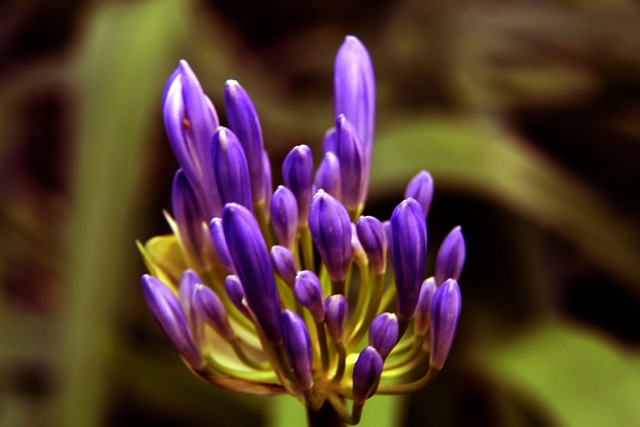 伙伴的钦佩 伙伴的钦佩