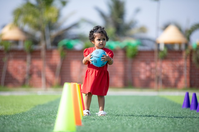 稳定加成 稳定加成
