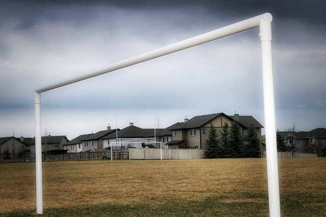 也可能为球 也可能为球