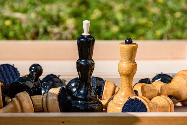 性的占比也 性的占比也